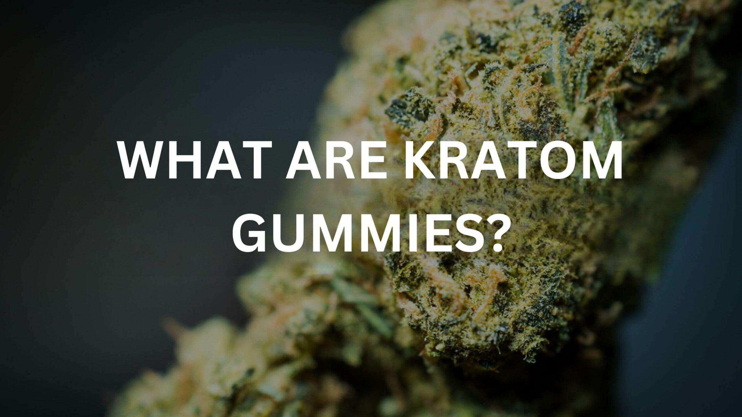 What Are Kratom Gummies? 9 Kratom Gummies
