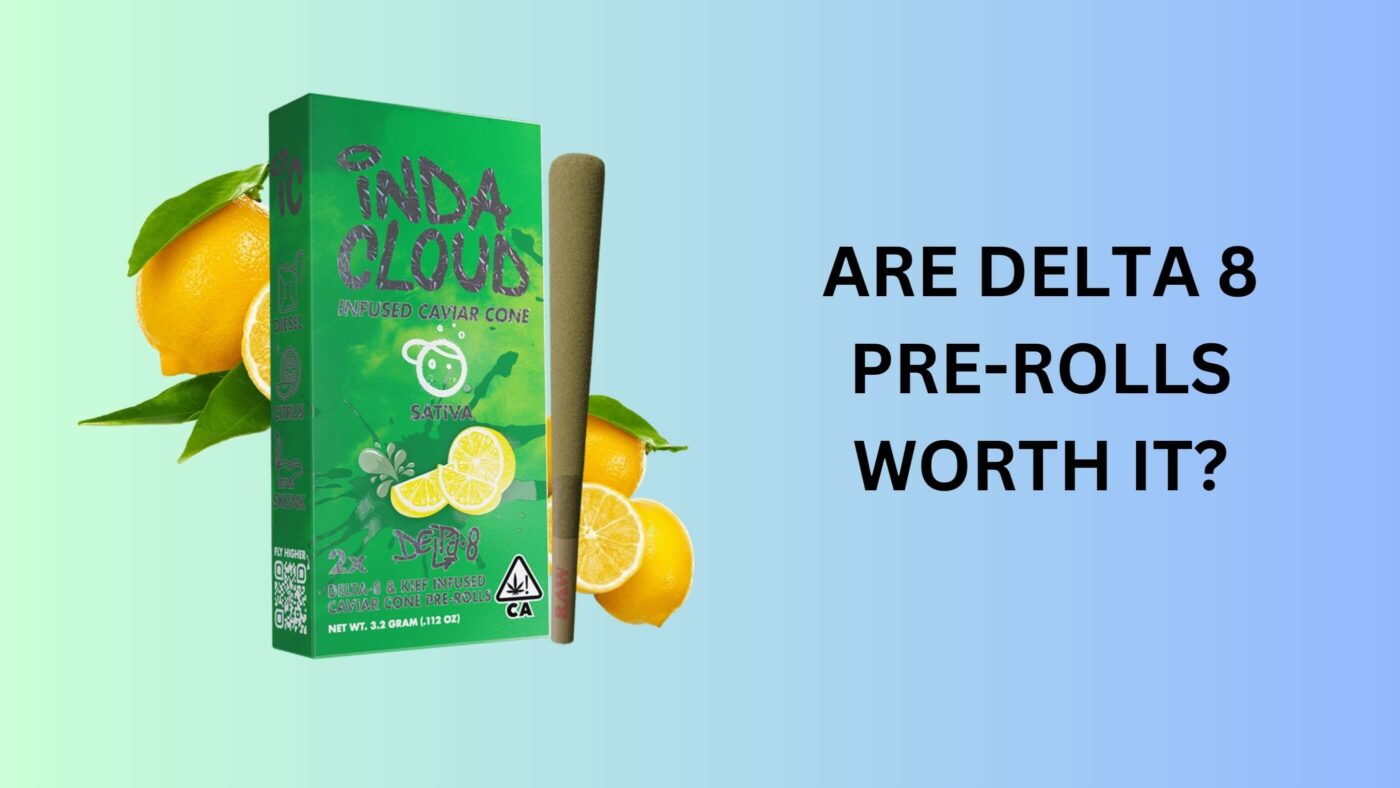 Are Delta 8 Pre-Rolls Worth It? 6 Delta 8 Pre-Rolls Worth