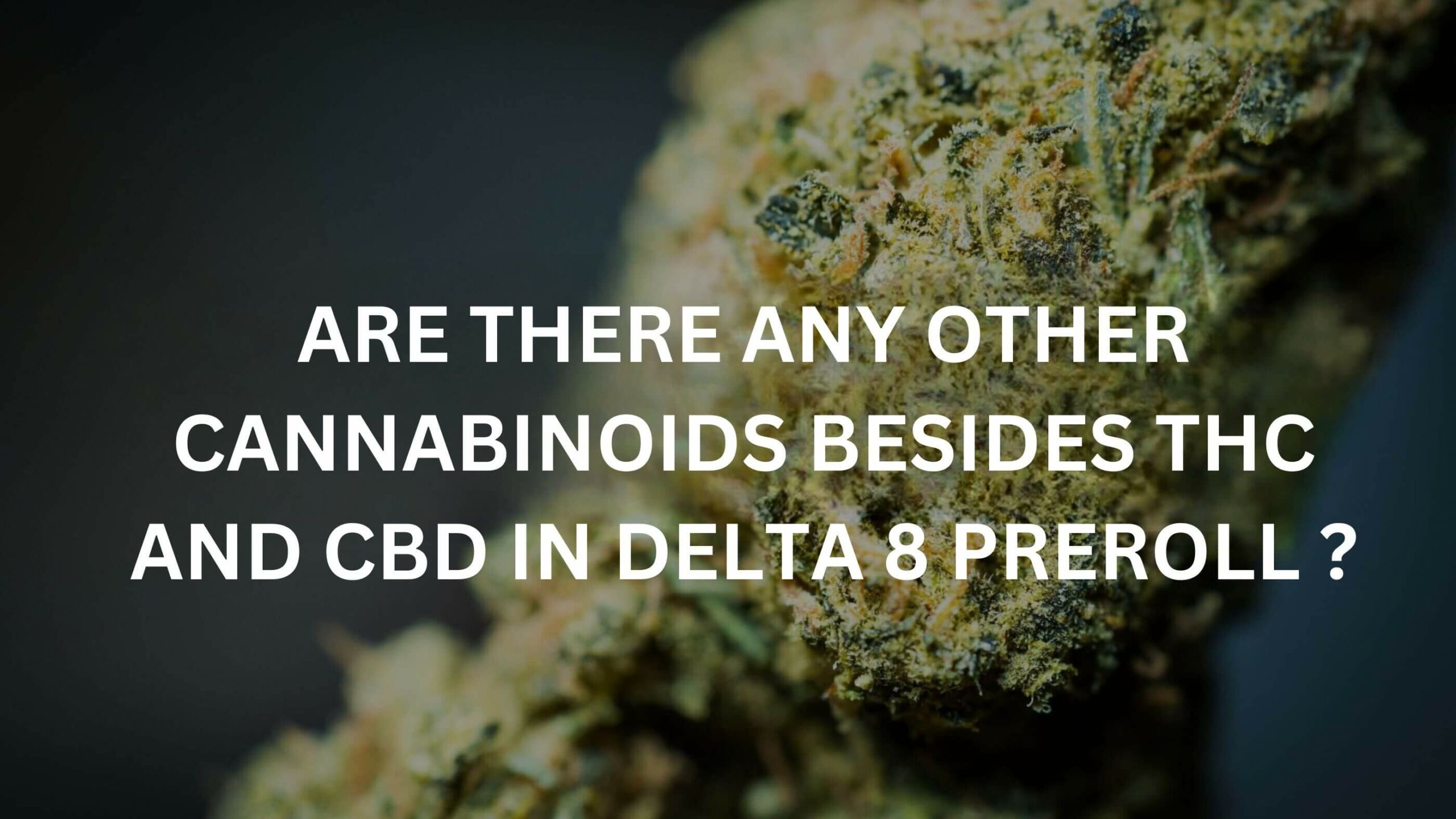 Are There Any Other Cannabinoids In A Hemp-Derived Or Marijuana-Derived Delta 8 Preroll Besides Thc And Cbd? 3 Cannabinoids