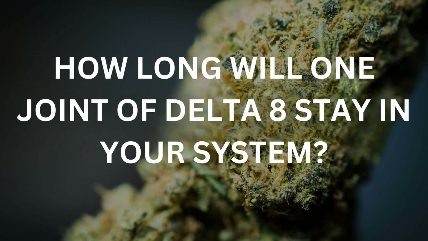 How Long Will One Joint Of Delta 8 Stay In Your System? 4 Delta 8 In System