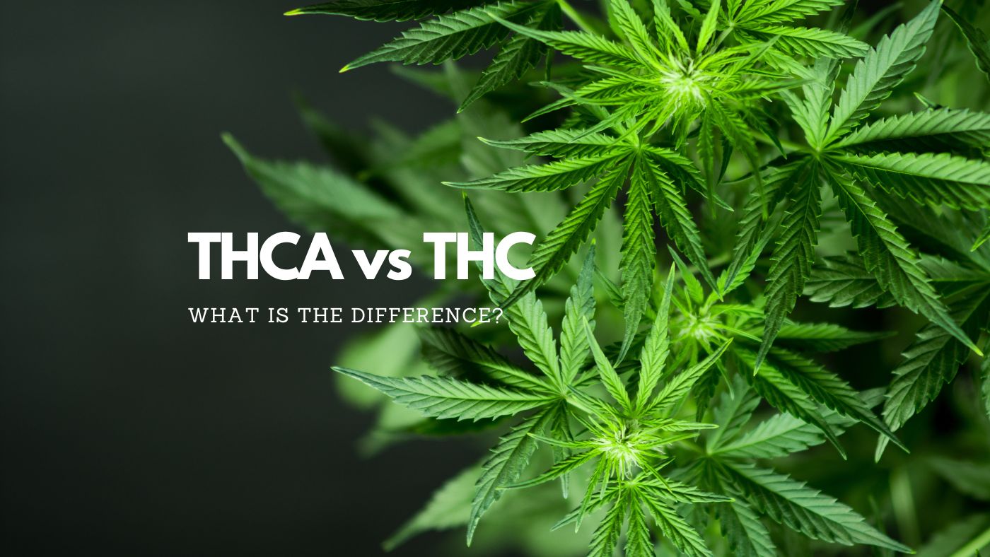 THCA vs THC differences