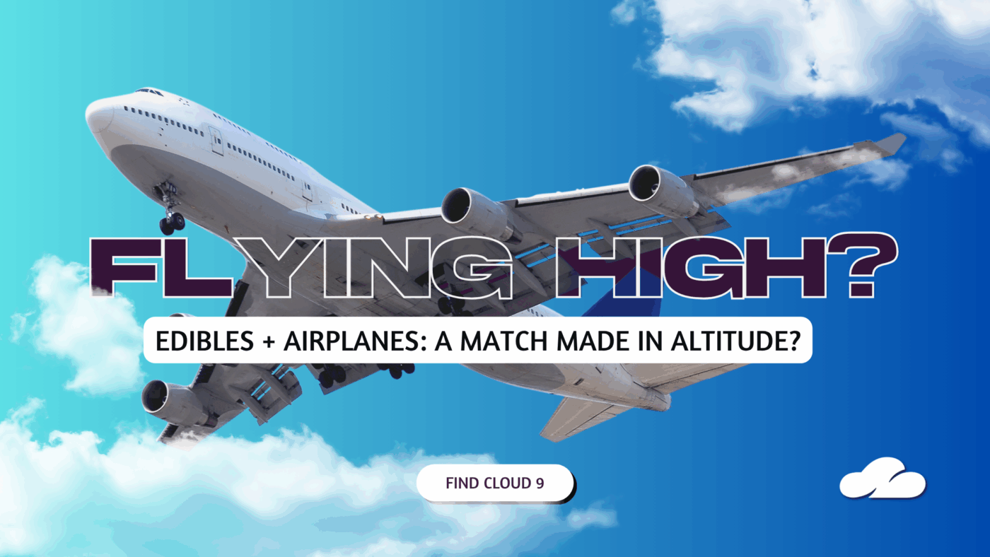 Flying High? A Guide To Taking Edibles On Planes (Legally, Comfortably, And Without Panic) 5 Flying High Header
