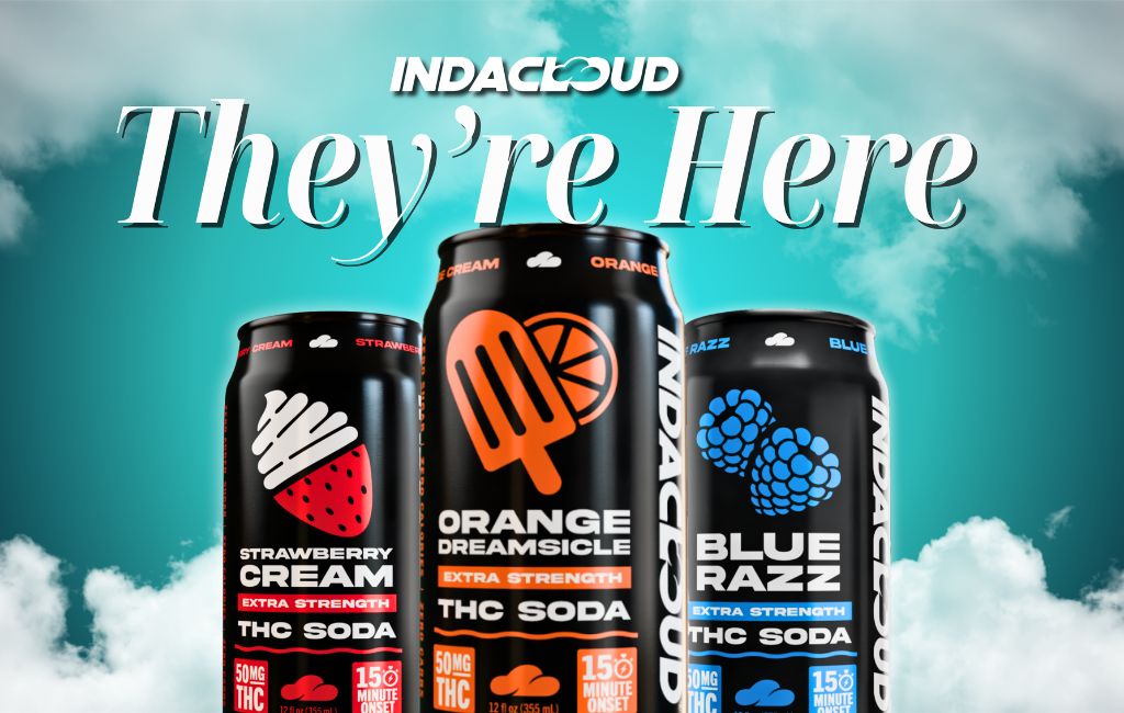 Soda Launching Feature Image