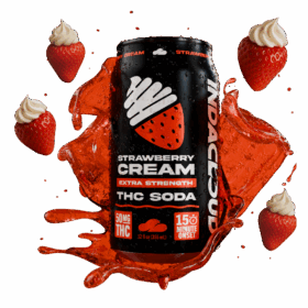 Strawberries & Cream 50mg THC Soda (4-Pack)